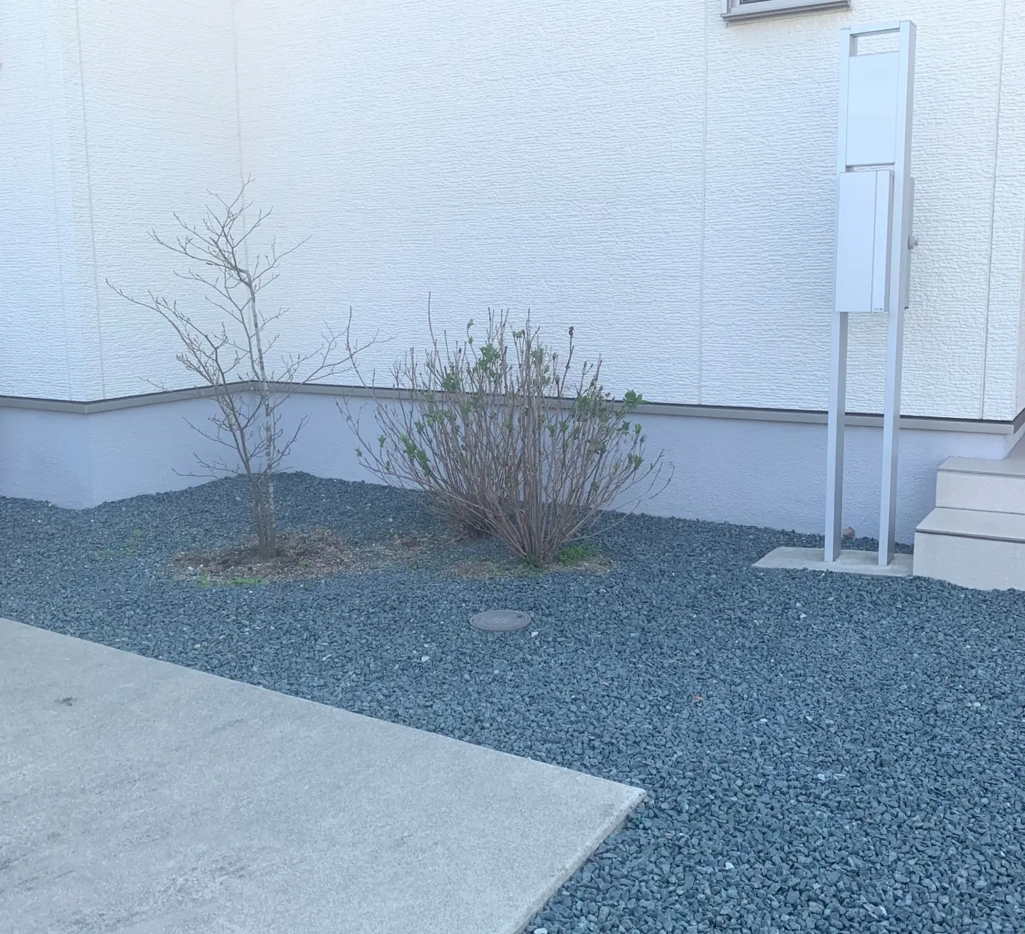 植栽
